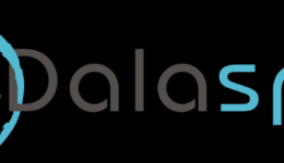 logotyp_dalaspa